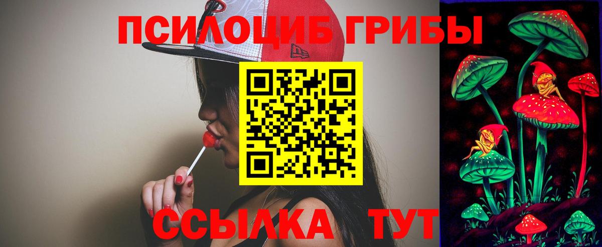 Псилоцибиновые грибы Cubensis Грязи